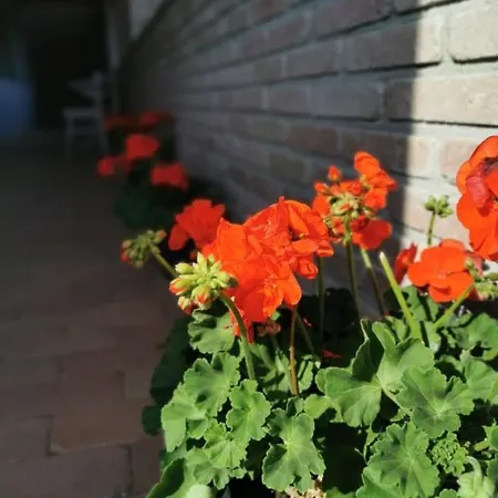 Szamoca Vendeghaz Konukevi Dudar